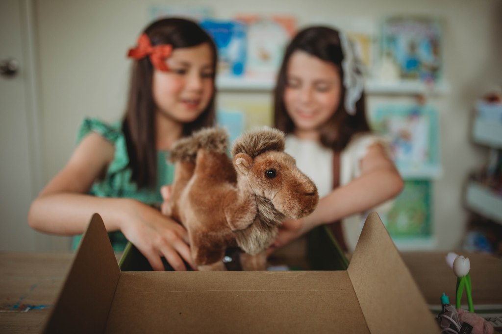 edZOOcation Subscription Box: Encouraging Children’s Wonder of the Animal&nbsp;Kingdom
